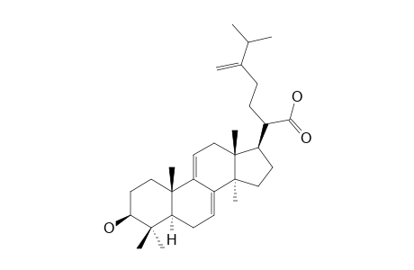 DEHYDROBURICOIC-ACID;3-BETA-HYDROXYLANOSTA-7,9(11),24(31)-TRIEN-21-OIC-ACID