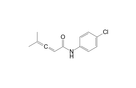 N-(4-chlorophenyl)-4-methyl-penta-2,3-dienamide