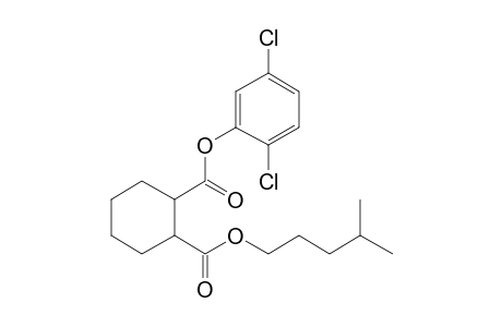 1,2-Cyclohexanedicarboxylic acid, 2,5-dichlorophenyl isohexyl ester