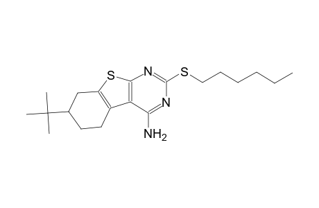 7-tert-butyl-2-(hexylsulfanyl)-5,6,7,8-tetrahydro[1]benzothieno[2,3-d]pyrimidin-4-amine
