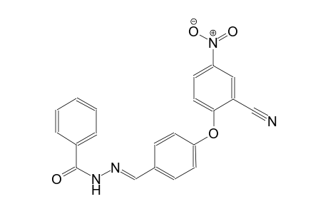 N'-{(E)-[4-(2-cyano-4-nitrophenoxy)phenyl]methylidene}benzohydrazide