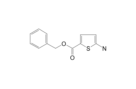 5-aminothiophene-2-carboxylic acid benzyl ester