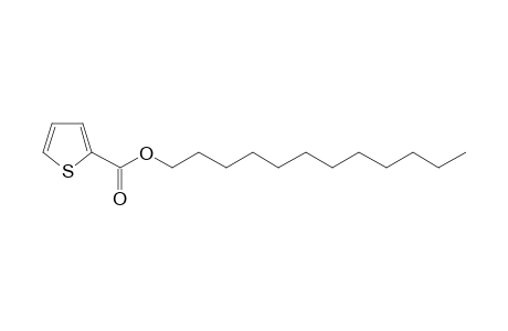 2-Thiophenecarboxylic acid, dodecyl ester