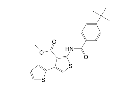 methyl 5'-(4-(tert-butyl)benzamido)-[2,3'-bithiophene]-4'-carboxylate