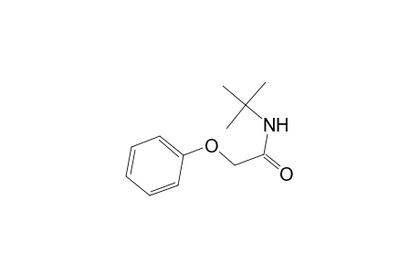 N-(tert-butyl)-2-phenoxyacetamide