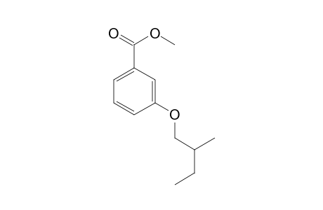 Benzoic acid, 3-(2-methylbutyl)oxy-, methyl ester