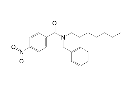 Benzamide, 4-nitro-N-benzyl-N-heptyl-