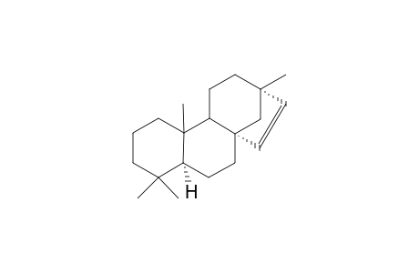 Isohibaene