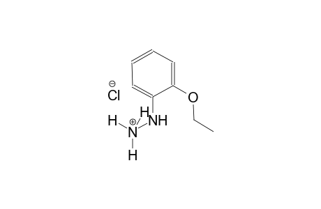 hydrazinium, 2-(2-ethoxyphenyl)-, chloride