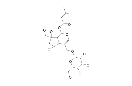 KANOKOSIDE-A;8,10-DIHYDROXY-6,7-EPOXY-11-GLUCOSYL-1-ISOVALERYL-IRIDOID