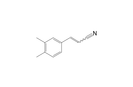 3-(3,4-Dimethylphenyl)acrylonitrile