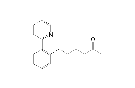 6-{2-(Pyridin-2-yl)phenyl}hexan-2-one