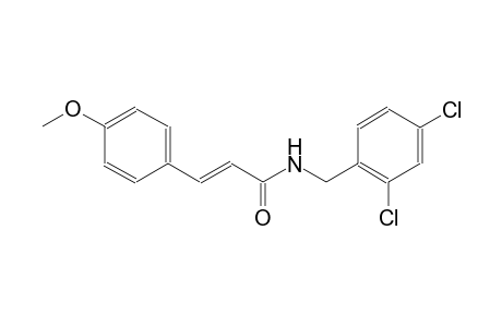 (2E)-N-(2,4-dichlorobenzyl)-3-(4-methoxyphenyl)-2-propenamide