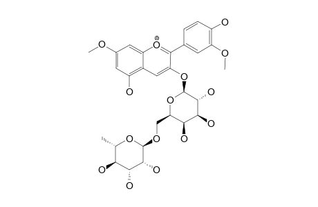 ROSINIDIN-3-ROBINOBIOSIDE;PIGMENT-1;7,3'-O-DIMETHYL-CYANIDIN-3-O-ROBINOBIOSIDE;7,3'-O-DIMETHYL-CYANIDIN-3-O-[6-O-(ALPHA-L-RHAMNOPYRANOSYL)-BETA-D-GALACTOPYRANO