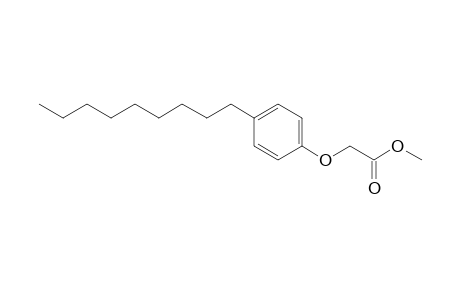 NP1ECME - isomer M