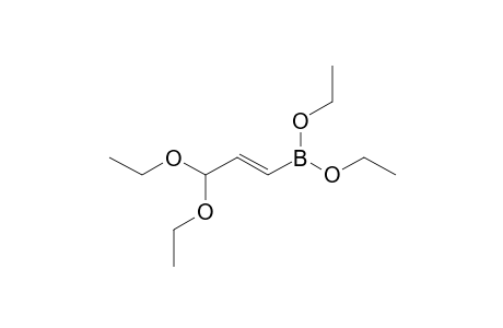 DIETHYL-3,3-DIETHOXYPROP-1-ENYLBORONATE