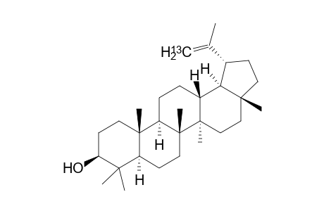 (1R,3aR,5aR,5bR,7aR,9S,11aR,11bR,13aR,13bR)-3a,5a,5b,8,8,11a-hexamethyl-1-(prop-1-en-2-yl-1-13C)icosahydro-1H-cyclopenta[a]chrysen-9-ol