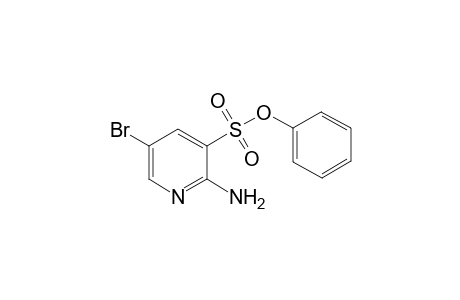 Phenyl 2-Amino-5-bromopyidine-3-sulfonate