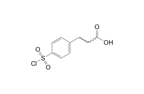 p-(chlorosulfonyl)cinnamic acid