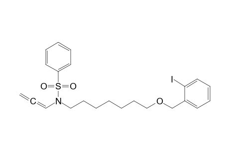 O-Iodobenzyl N-(phenylsulfonyl)-N-(1,2-propadienyl)aminoheptyl ether