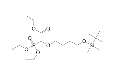2-[4-[tert-butyl(dimethyl)silyl]oxybutoxy]-2-diethoxyphosphoryl-acetic acid ethyl ester