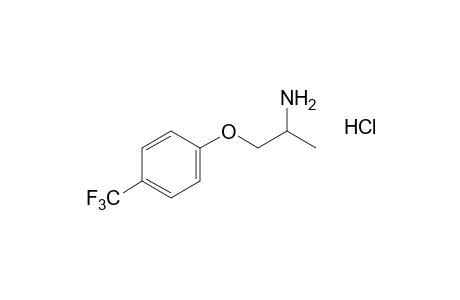 1-METHYL-2-[(alpha,alpha,alpha-TRIFLUORO-p-TOLYL)OXY]ETHYLAMINE, HYDROCHLORIDE