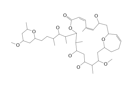 SWINHOLID-A