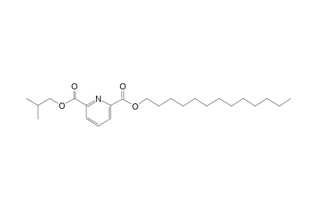 2,6-Pyridinedicarboxylic acid, isobutyl tridecyl ester