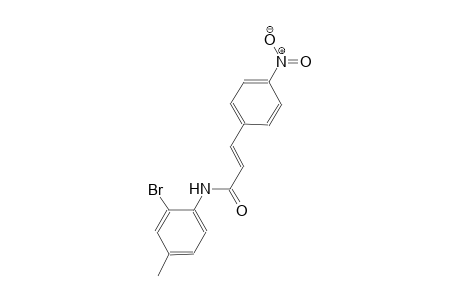 (2E)-N-(2-bromo-4-methylphenyl)-3-(4-nitrophenyl)-2-propenamide