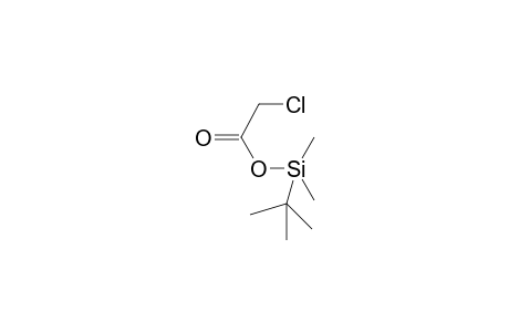 Chloroacetic acid, tbdms derivative