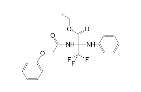 Propanoic acid, 3,3,3-trifluoro-2-[(2-phenoxyacetyl)amino]-2-(phenylamino)-, ethyl ester