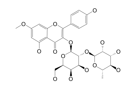 OXYTROFLAVOSIDE_F;RHAMNOCITRIN_3-O-ALPHA-L-RHAMNOPYRANOSYL-(1->2)-BETA-D-GALACTOPYRANOSIDE
