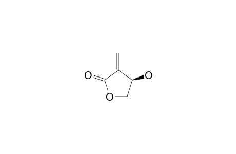 (R)-3-HYDROXY-2-METHYLENE-GAMMA-BUTYROLACTONE;(+)-TULIPALIN-B