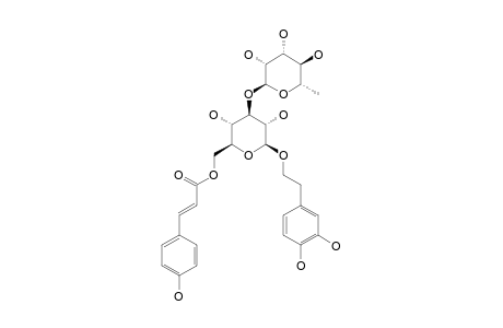 LIPEDOSIDE-A-II;[2-(3,4-DIHYDROXYPHENYL)-ETHYL]-(3-O-ALPHA-L-RHAMNOPYRANOSYL)-(6-O-PARA-COUMAROYL)-BETA-D-GLUCOPYRANOSIDE