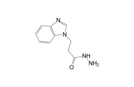 3-(1-Benzimidazolyl)propanehydrazide