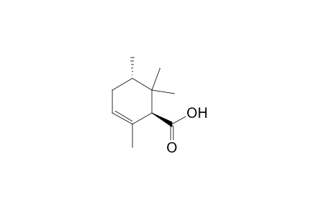(1S,5S)-2,5,6,6-Tetramethylcyclohex-2-ene-1-carboxylic acid