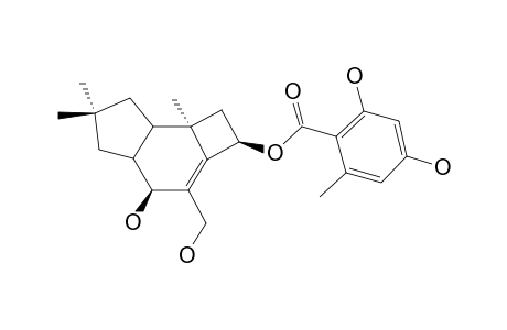 ARMILLYL ORSELLINATE