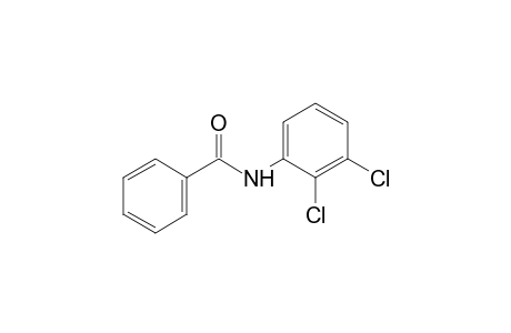 2',3'-dichlorobenzanilide