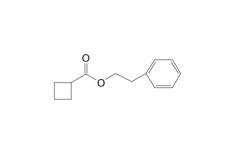 2-Phenylethyl cyclobutanecarboxylate