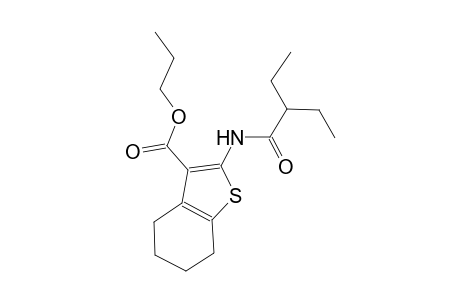 propyl 2-[(2-ethylbutanoyl)amino]-4,5,6,7-tetrahydro-1-benzothiophene-3-carboxylate