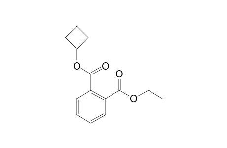 Phthalic acid, cyclobutyl ethyl ester