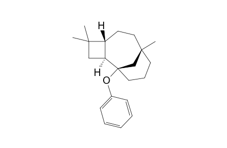 4,4,8-Trimethyl-1-phenoxytricyclo[6.3.1.0(2,5)]dodecane