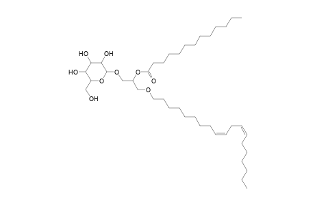 MGDG O-19:2_13:0