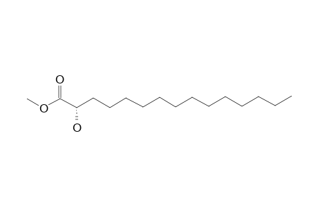 (2S)-2-HYDROXYPENTADECANOIC-ACID