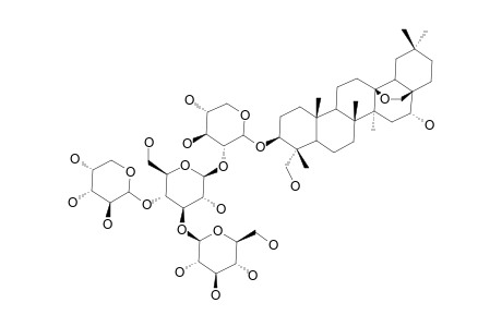 23-Hydroxy-protoprimulagenin-A