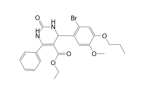 ethyl 4-(2-bromo-5-methoxy-4-propoxyphenyl)-2-oxo-6-phenyl-1,2,3,4-tetrahydro-5-pyrimidinecarboxylate