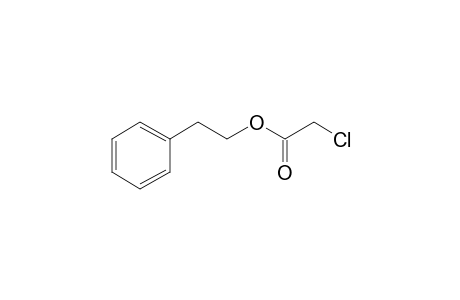 Acetic acid, chloro-, 2-phenylethyl ester