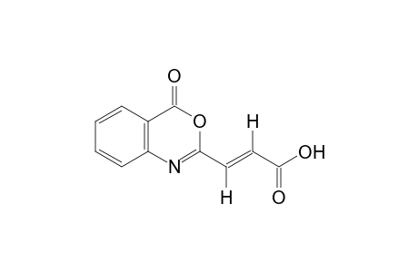 trans-4-oxo-4H-3,1-benzoxazine-2-acrylic acid