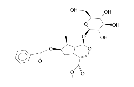 7-O-BENZOYLLOGANIN