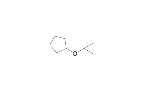 tert-Butyl cyclopentyl ether